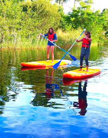 Cours de surf et stand up paddle