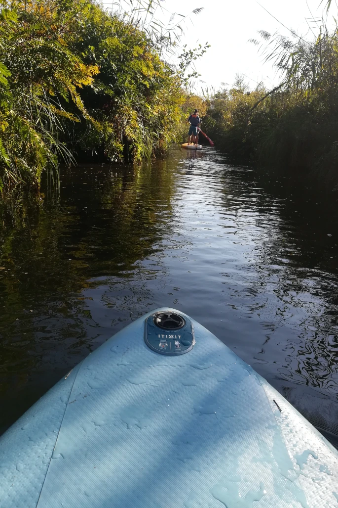 initiation paddle lac biscarrosse