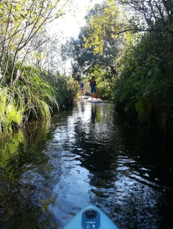location de paddle et balade guidée au lac de Biscarrosse